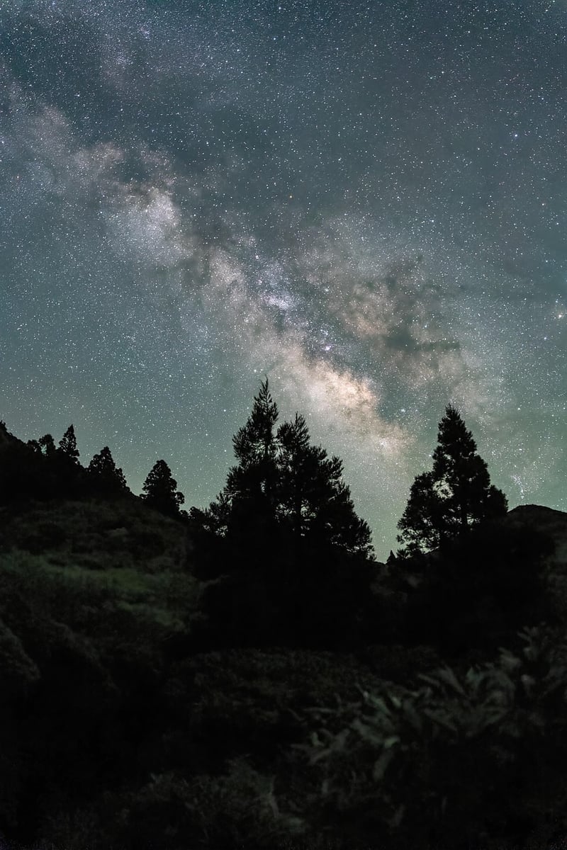 Artistic night sky